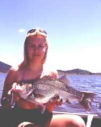 This Somerset bass was fooled by a 35 gram green Lazer.