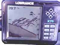 A school of bass on the sounder.