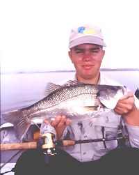 Bass caught on a 15 gram red Lazer in BP Dam